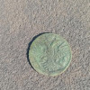 177006096.jpg
