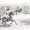 IMG_7812.jpeg