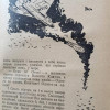 IMG_1133.jpeg