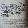 IMG_1158.jpeg