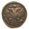 12765620.jpg