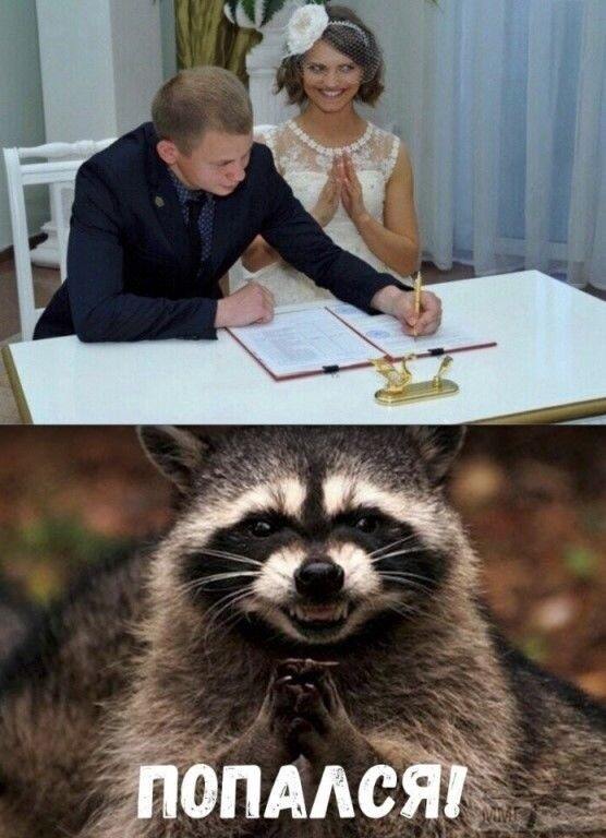 100252 - Отношения между мужем и женой.