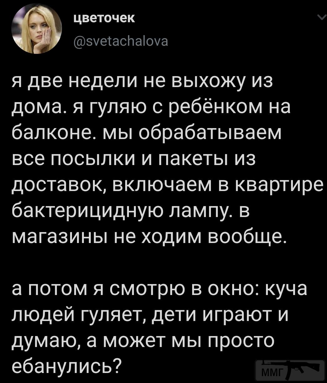 100616 - Вирус. Эпидемия.