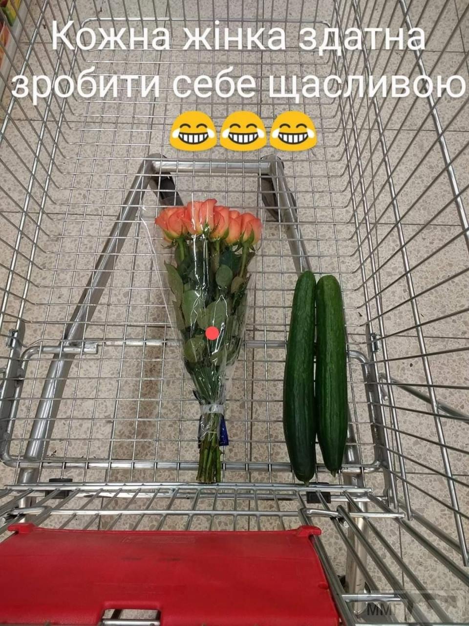 126677