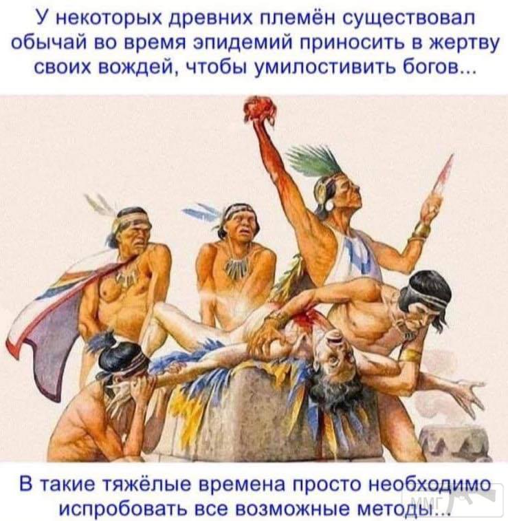 101638 - Вирус. Эпидемия.