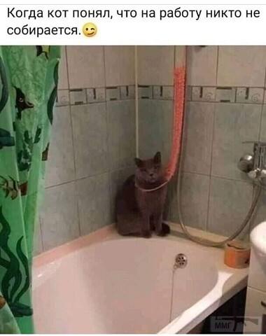 126959