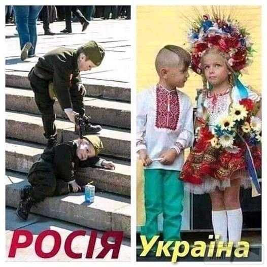 102273 - Украинцы и россияне,откуда ненависть.