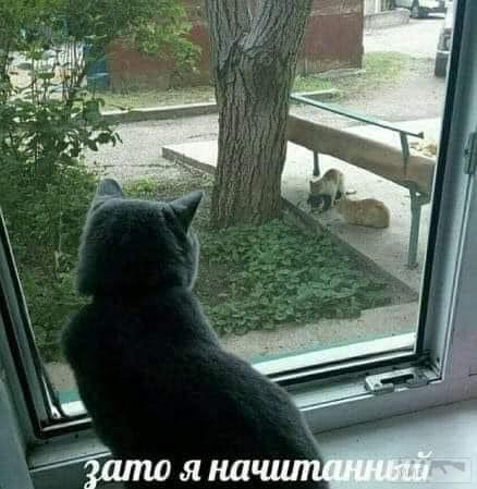 128872