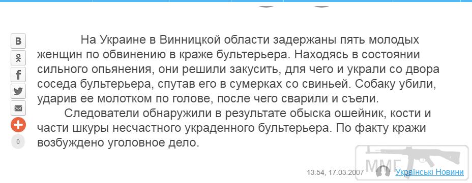 103126 - А в России чудеса!