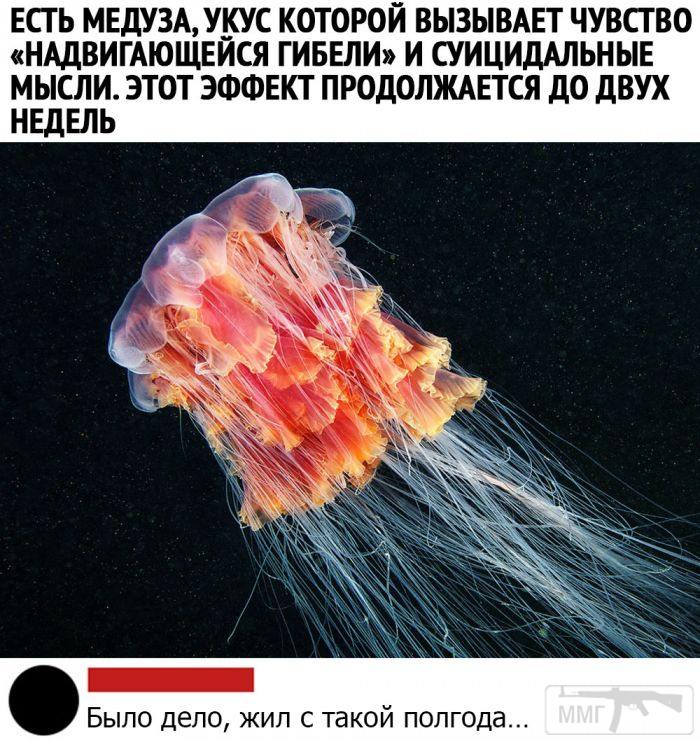 103281 - Отношения между мужем и женой.