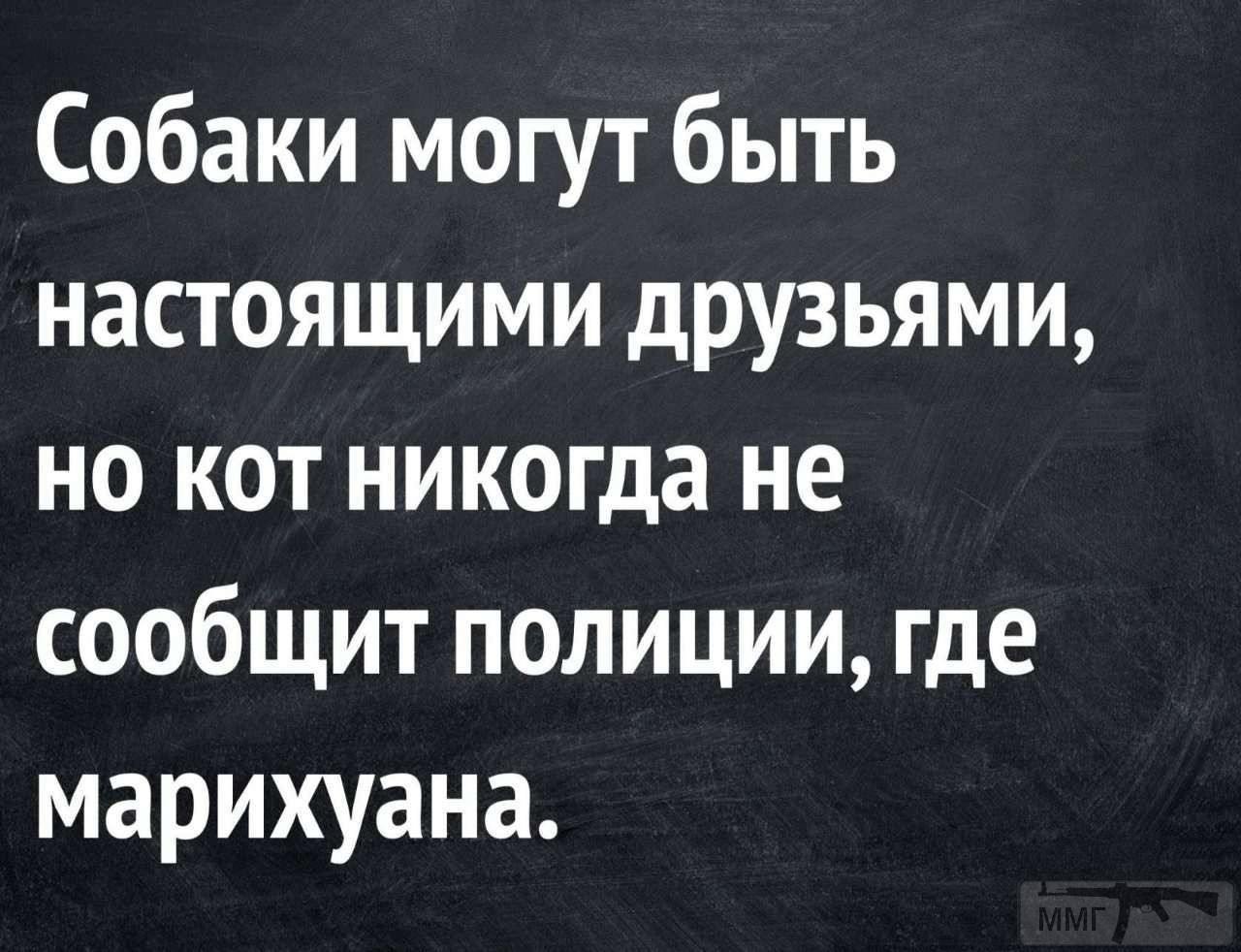 Фразы про юмор. Смешные фразы. Смешные цитаты. Мемные фразы. Прикольные высказывания.