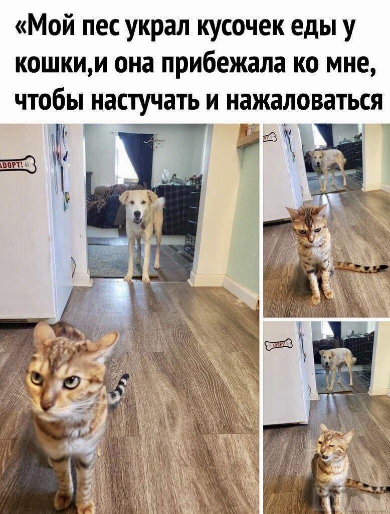 131204