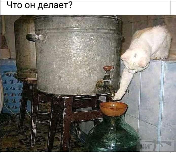 131588