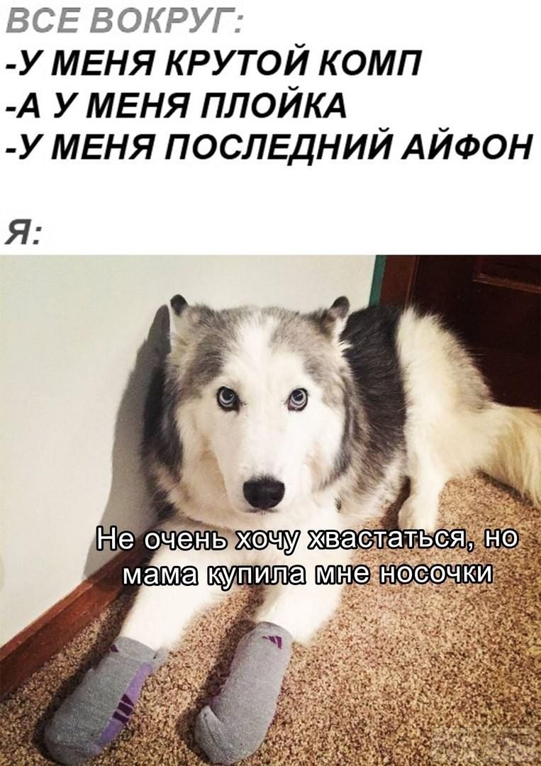 131636