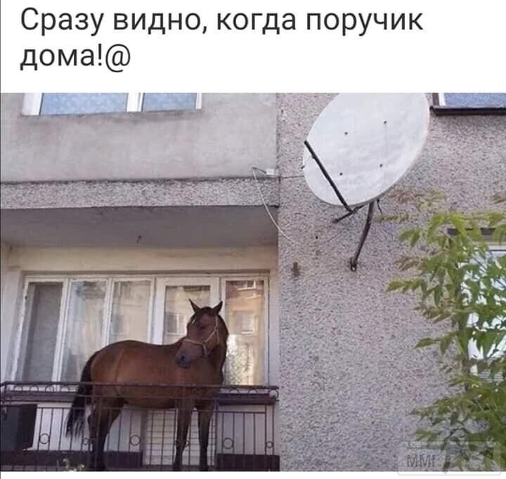 131698