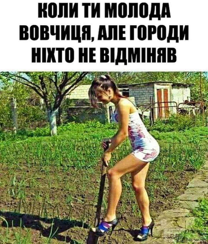 131704