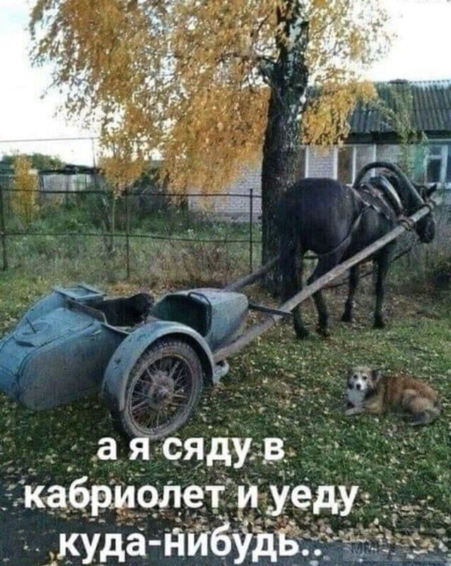 105496 - Супер прикол!