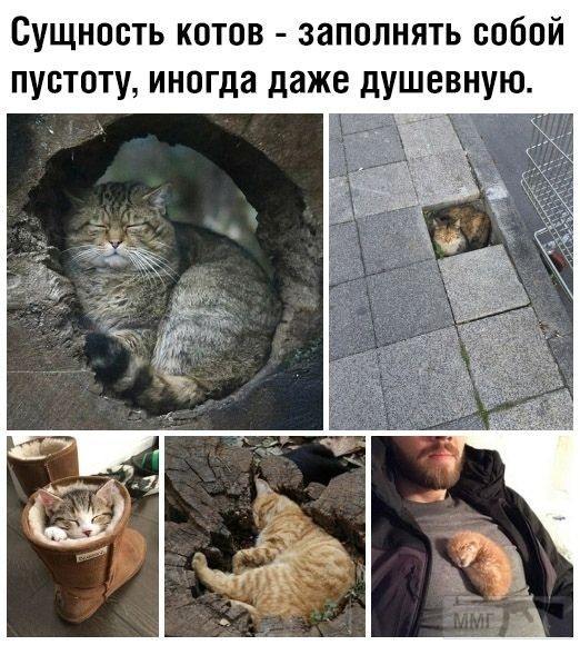 132479