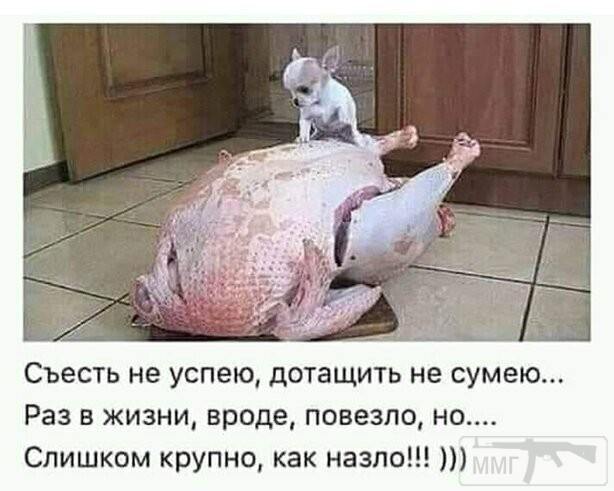 132481
