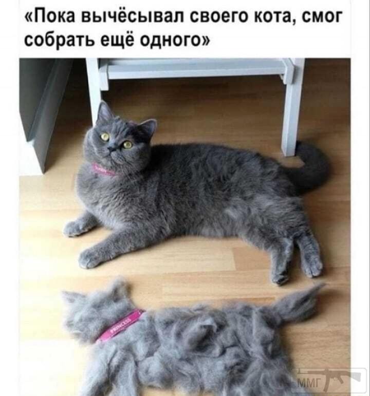 132497