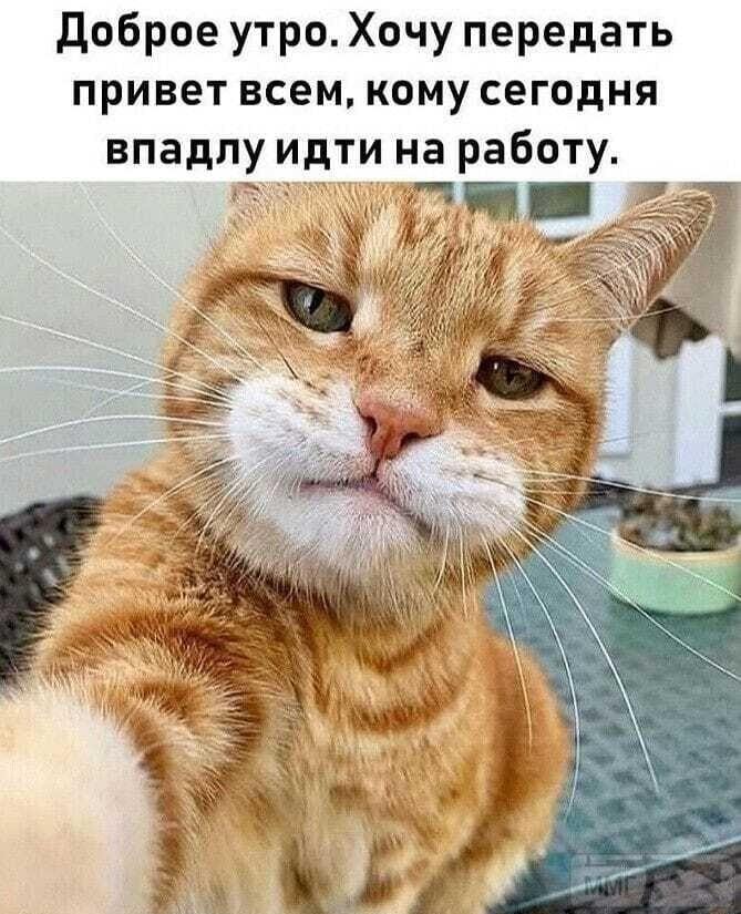 133528