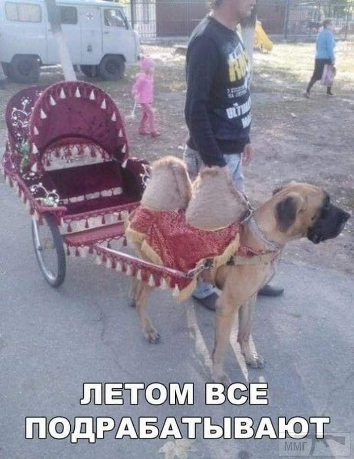 133529