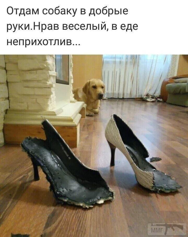 133679