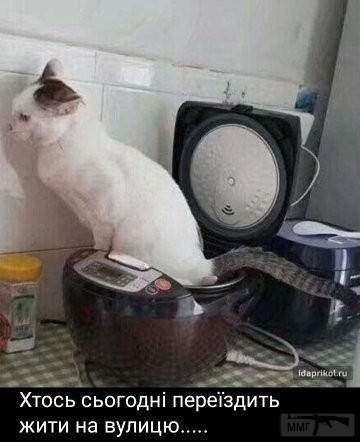 134748