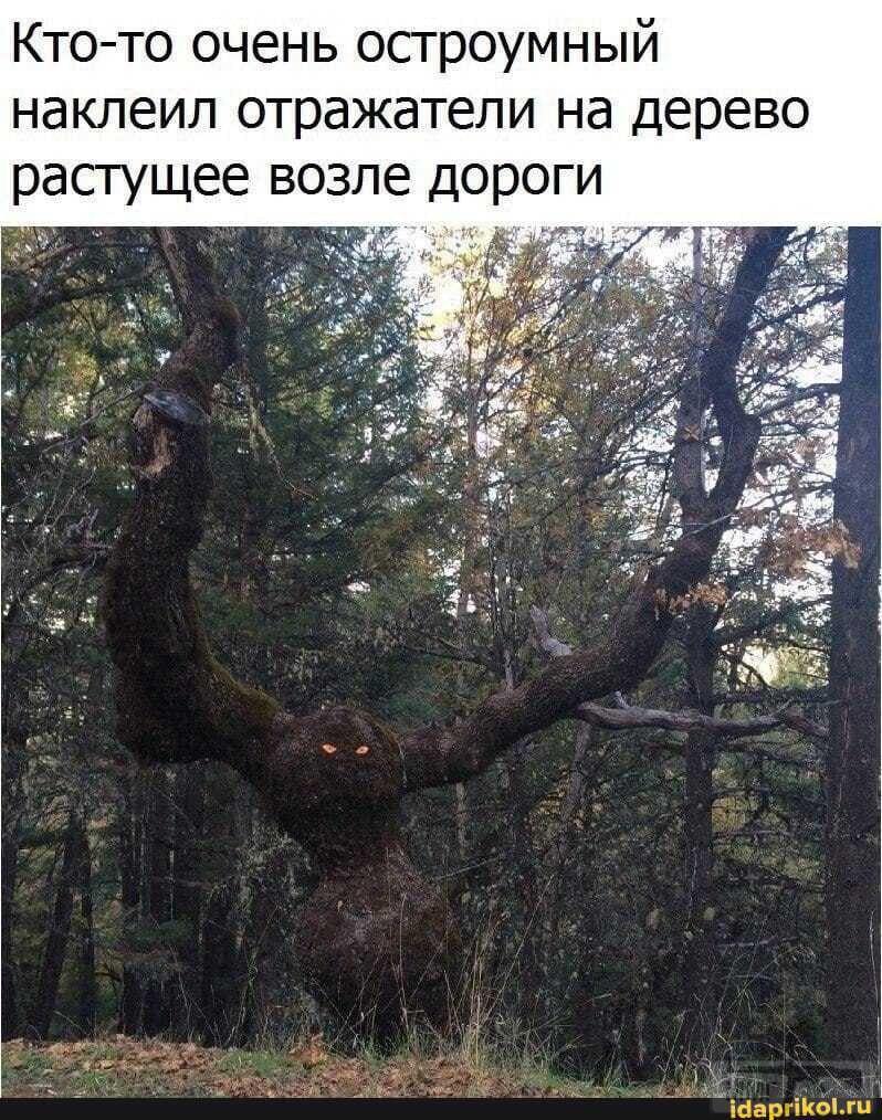 135239