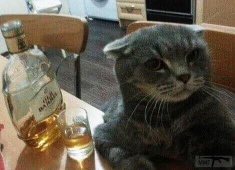 135511