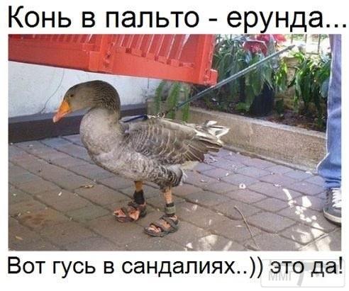 135569