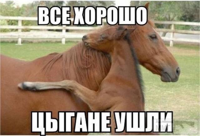 135782