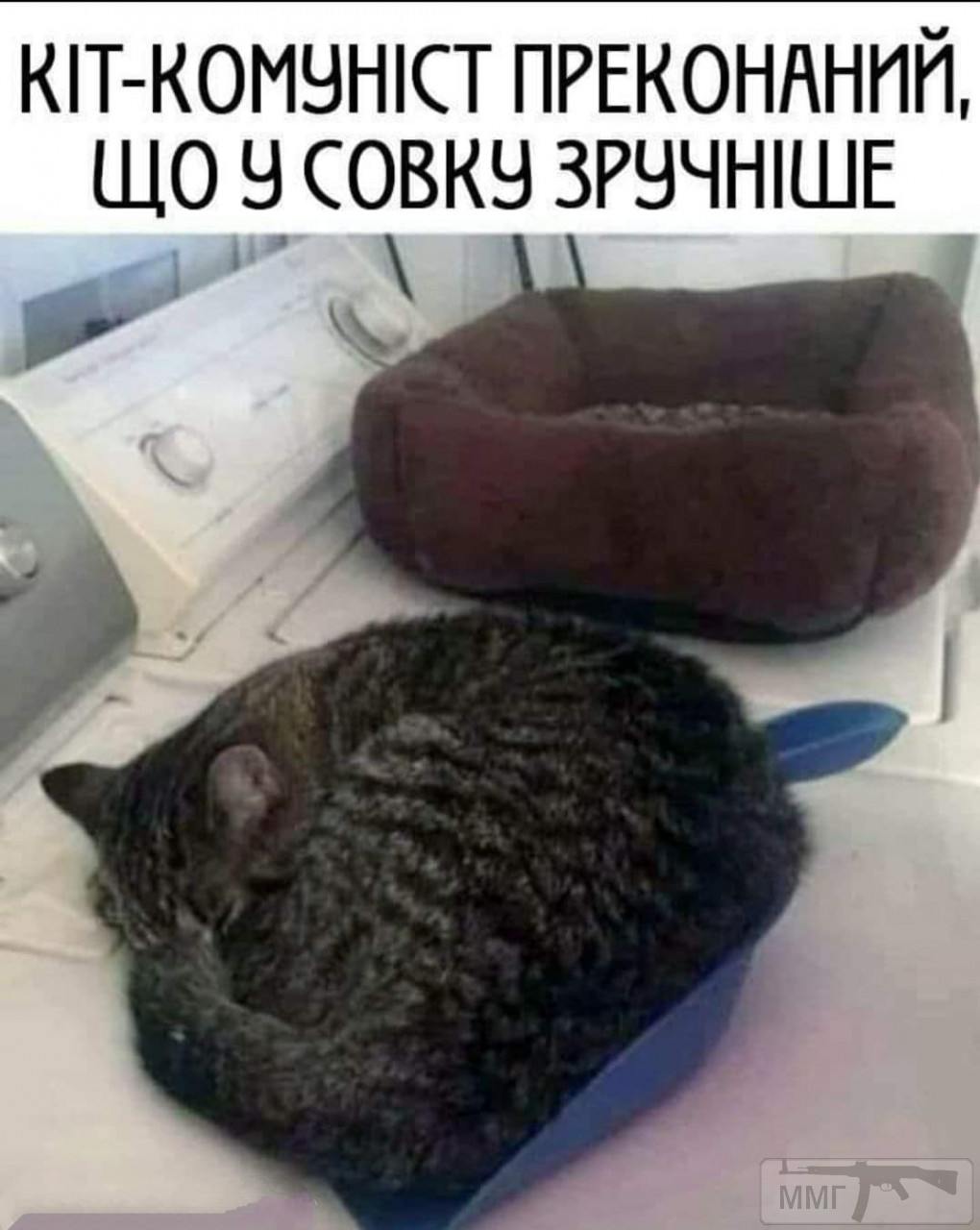 136431