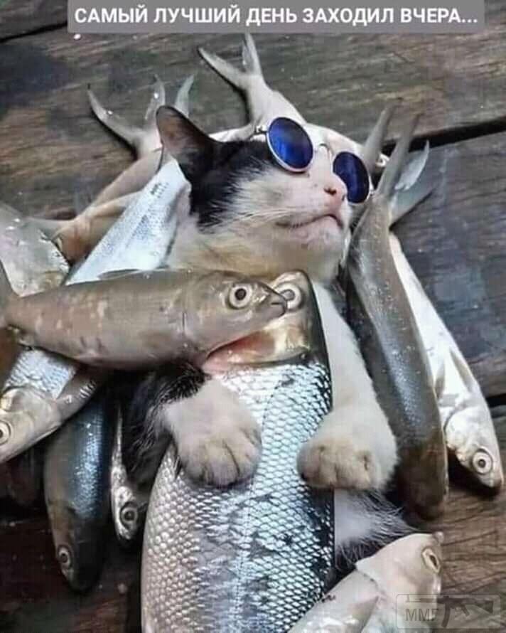 136432