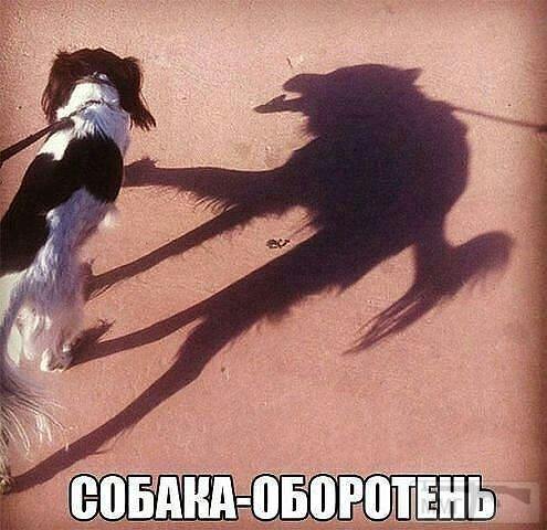 136433