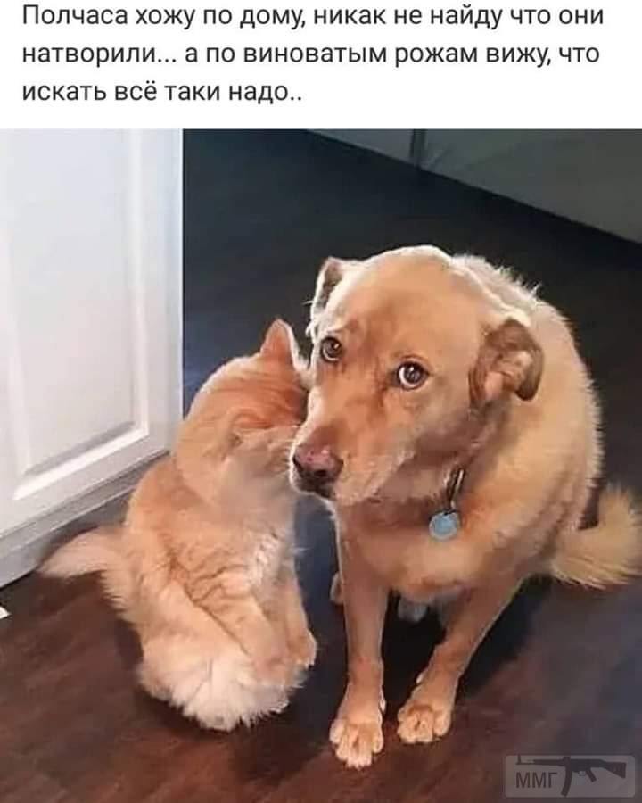 137203
