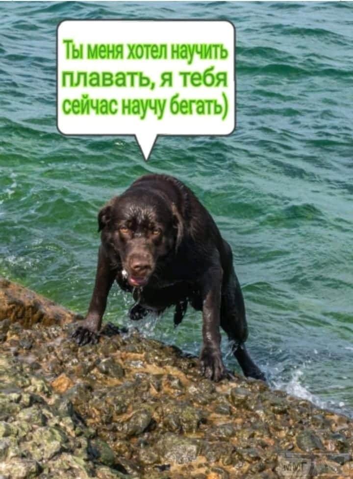137230