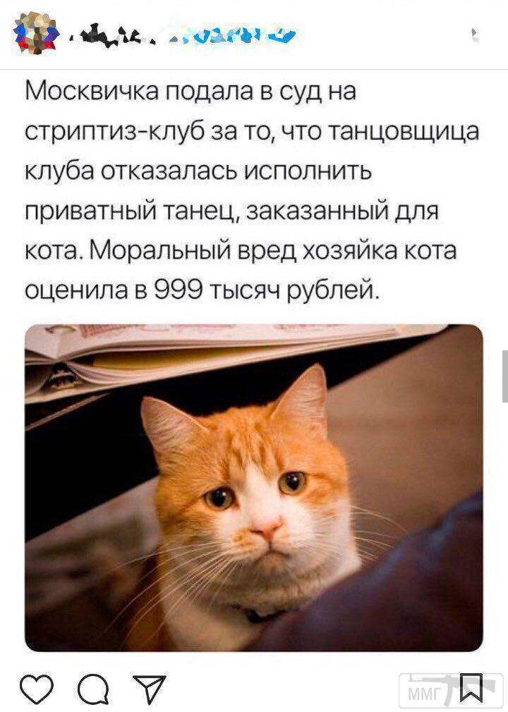 137445