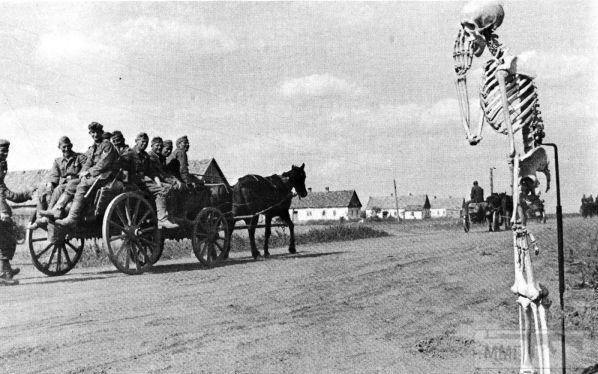 109857 - Военное фото 1941-1945 г.г. Восточный фронт.