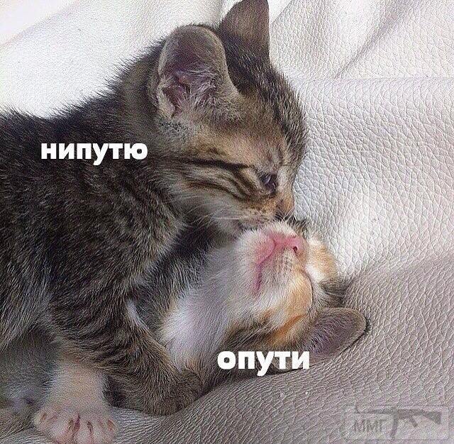138067