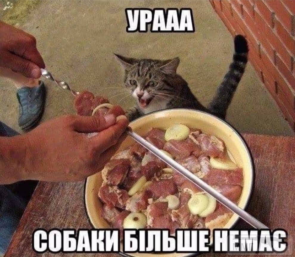 138071