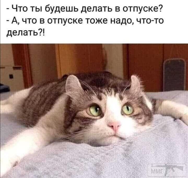 138194