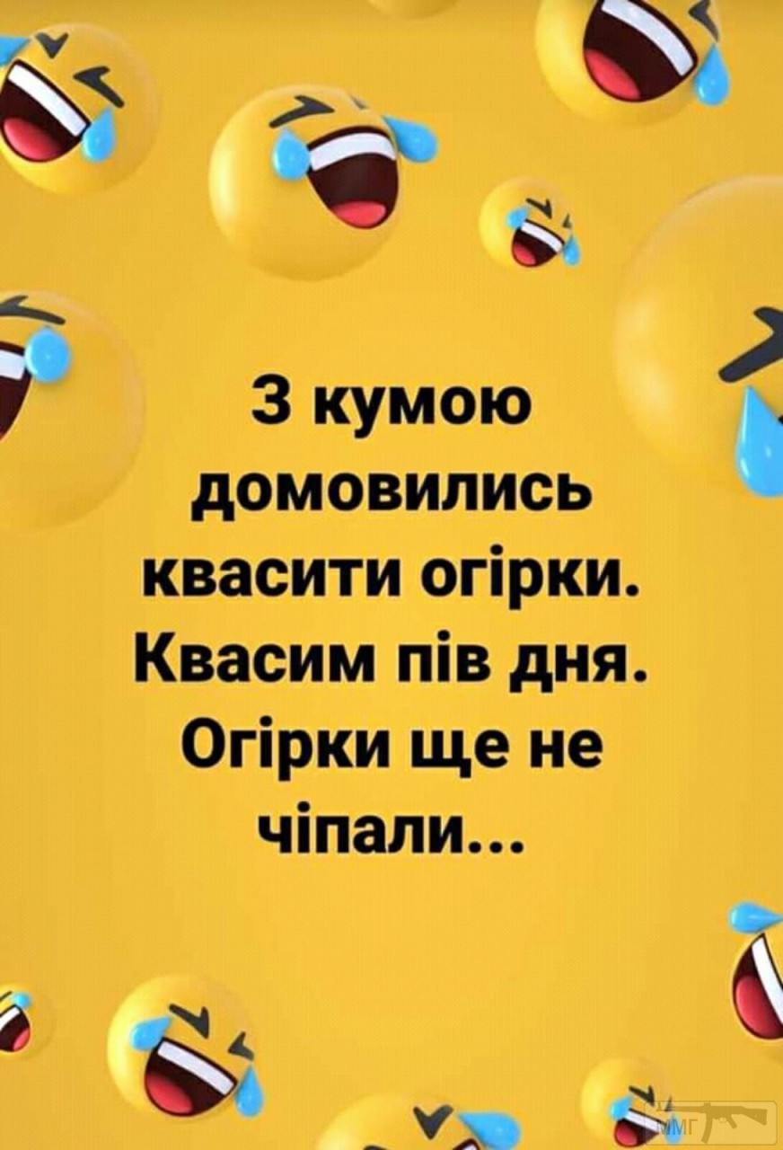 110366 - Пить или не пить? - пятничная алкогольная тема )))