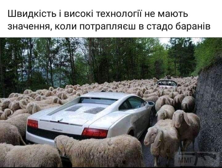 110800 - Политический юмор