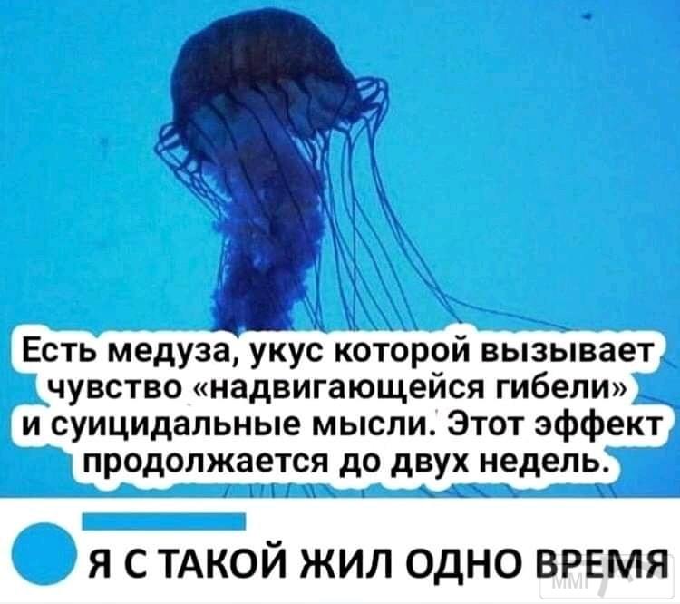 111346 - Отношения между мужем и женой.