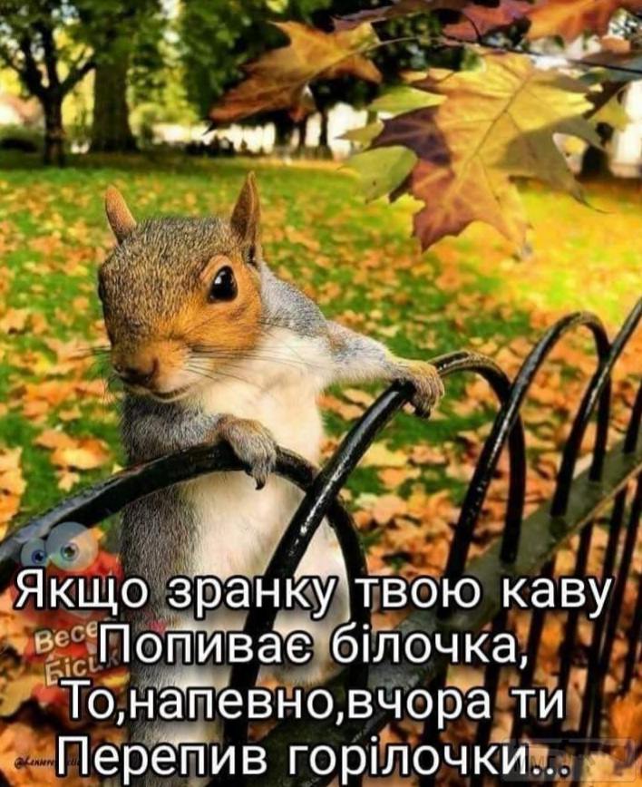 141518