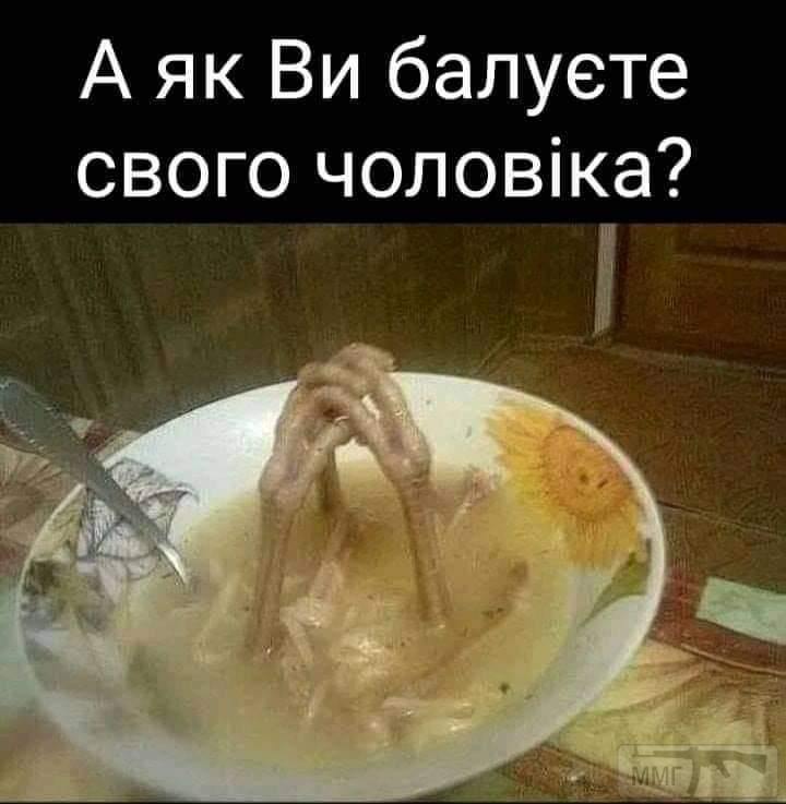 141637