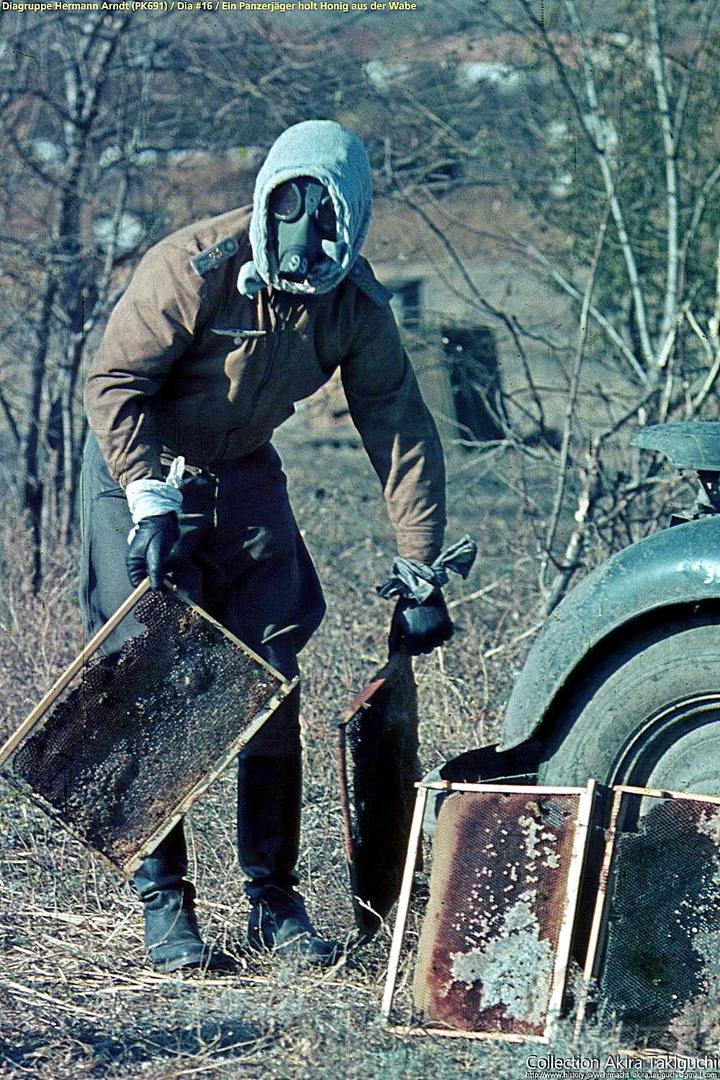 112472 - Военное фото 1941-1945 г.г. Восточный фронт.