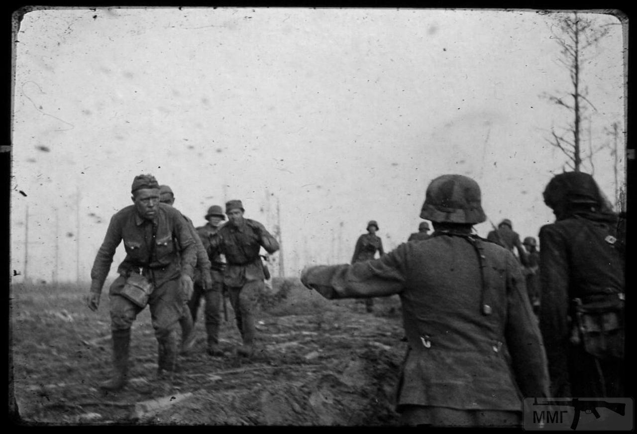 113086 - Военное фото 1941-1945 г.г. Восточный фронт.