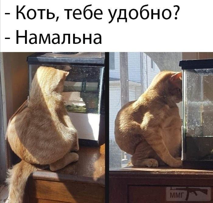 144019